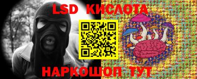 спиды Можга