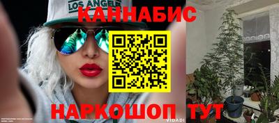 дмт Нягань