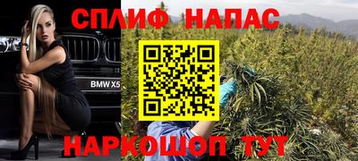 спиды Можга